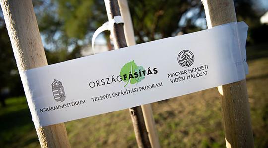 Elkapkodták az ingyenes sorfákat – egy hét alatt 24 ezer talált gazdára