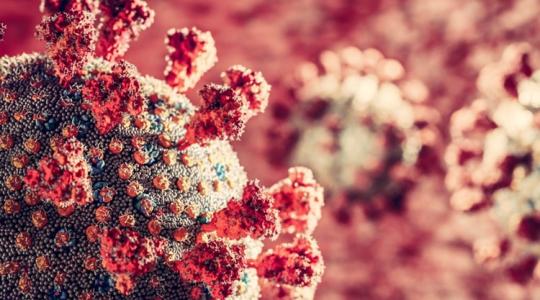 A Covid-járványt már az influenza sem bírja – Valószínűleg kihalt az egyik vírustörzs
