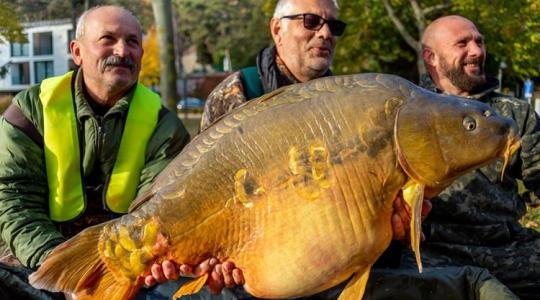 Óriási ponttyal mutatkozott be a Balaton a világ horgászainak