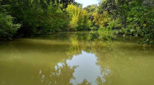 Annyi a víz a Tisza-tóban, hogy le kell belőle engedni