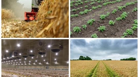 Sokkoló műtrágyaárak, tragikus kukoricatermés, felfüggesztett pályázat
