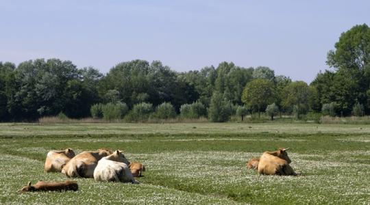 Pályázat beadási határidő a küszöbön, változások az AKG és ÖKO programokban