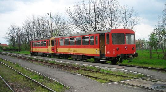 Szarvasmarhát gázolt egy vonat Ludányhalászinál