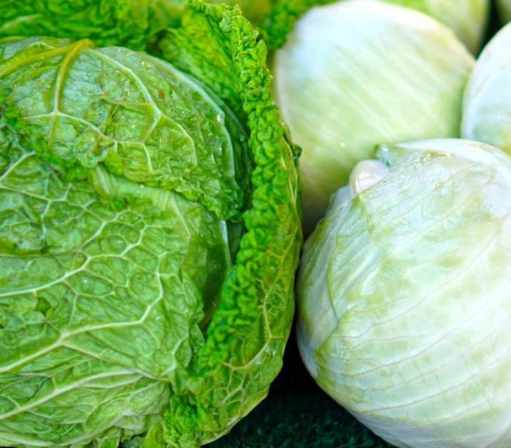 Ötletek a téli káposztás fogásokhoz