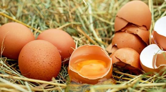 Az Aldi megígérte: csak magyar tejtermékeket és tojást fog árulni 