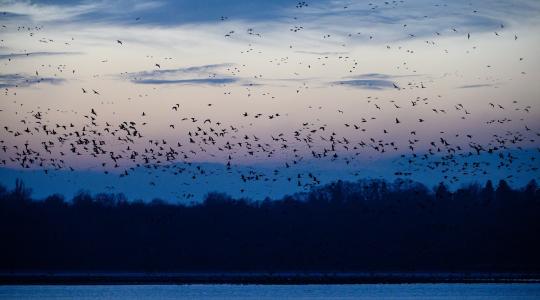 Hideg idő és jelentős havazás várható jövő héten