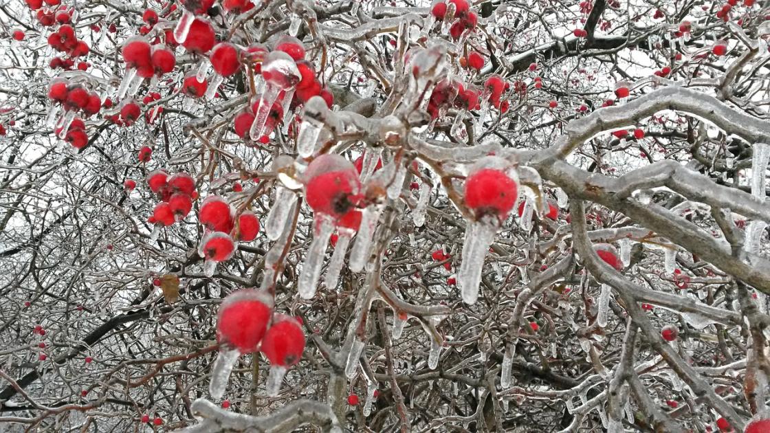 Nincs se ólom, se ón az esőben, de attól még nagyon csúszik Nincs se ólom, se ón az esőben, de attól még nagyon csúszik