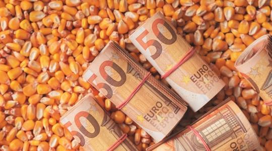 Ömleni fog a pénz az agráriumba, de le tudja dolgozni végre Magyarország a versenyhátrányát? 