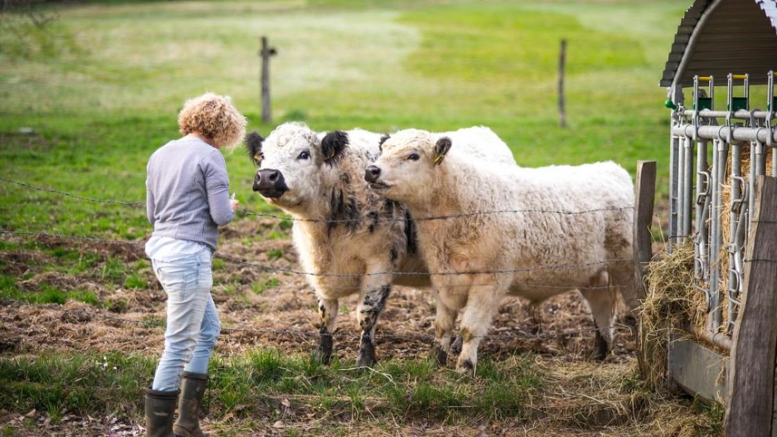 Fejlődik a tanya- és falugondnoki hálózat