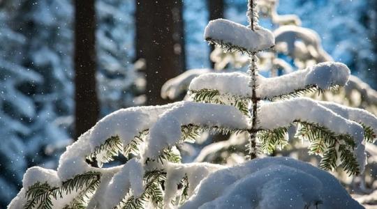 Elindult a találgatás: lesz-e fehér karácsony?