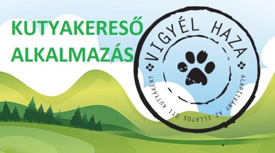Ezeken a MOL kutakon azonosíthatod a talált kutyákat