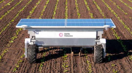 Kipróbálnád a Dahlia 3.3, a gyomirtó robotot? Jövőre megteheted!