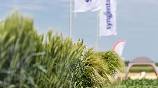 Syngenta Szezonnyitó 2022: rekordtermés, technológiai ajánlás, termelői tapasztalatok