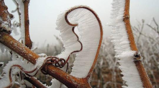7 napos időjárás-előrejelzés: fagy, hó, ónos eső – minden, ami tél
