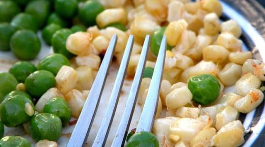 Felszállópályán a magyar konzervipar: erősödött az exportképesség