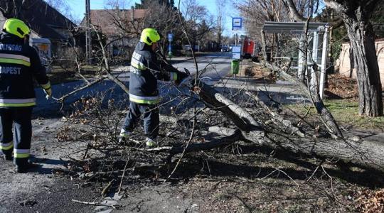 Tombol a vihar: rengeteg kárt okozott az erős szél 