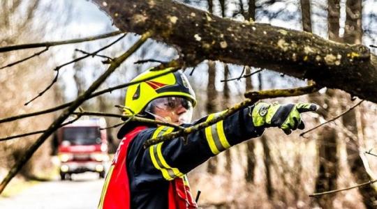 Viharkárok a mezőgazdaságban: vizsgálják a rendkívüli támogatási lehetőségeket
