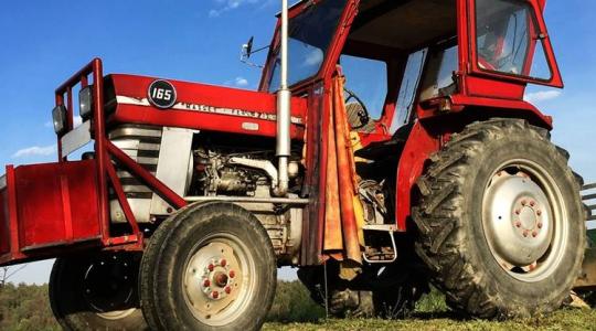 3 napos időjárás-előrejelzés: jelentős enyhülés érkezik, pénteken 13 fok is lehet
