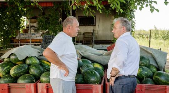 Előbb kezdődött a dinnyeszezon és akár szeptember végéig is tarthat