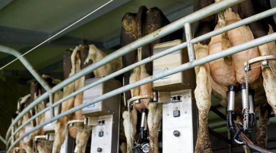 Észbontó díjnyertes agrárinnovációk videókkal a 2022-es World Ag Exporól