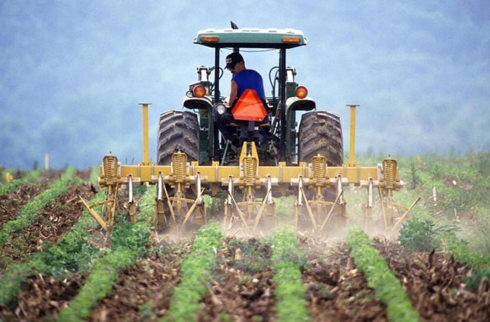 Ismét tüntettek a lengyel agrártermelők, egyre kilátástalanabb a helyzetük Ismét tüntettek a lengyel agrártermelők, egyre kilátástalanabb a helyzetük