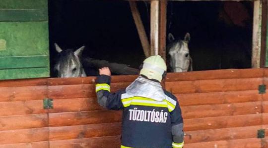 Felfoghatatlan: felgyújtották a Bükki Lovasparkot
