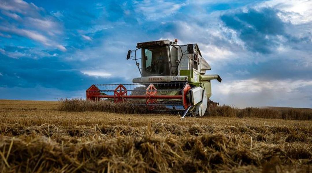 Szükségszerű továbblépés: új agrártechnológiák a költségek lefaragásához