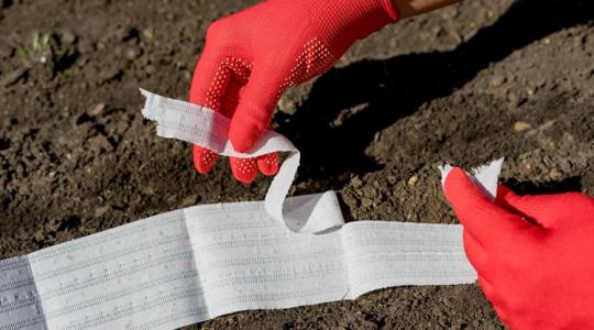 Filléres trükk, hogy egyszerű legyen a veteményezés