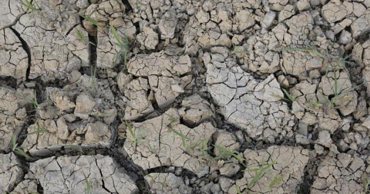 Ausztrália: ez lehet a megoldás a szikes talajok feljavítására?