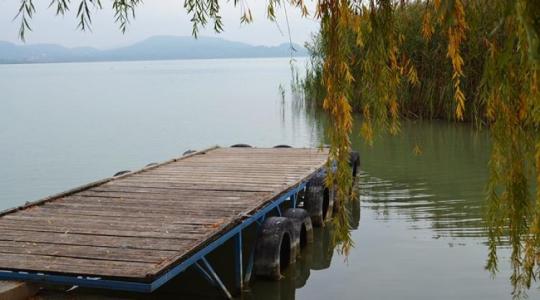Illegális stégek miatt fogy a balatoni nádas