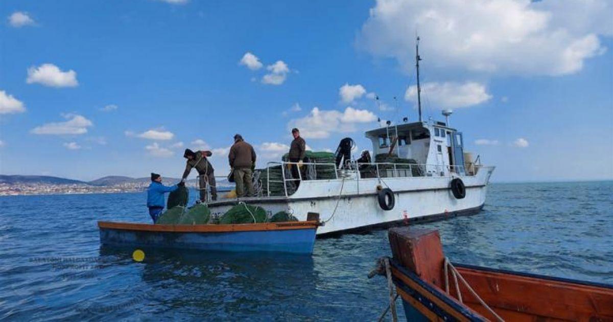 Tudod miként helyezik ki a süllőfészkeket a Balatonba? 