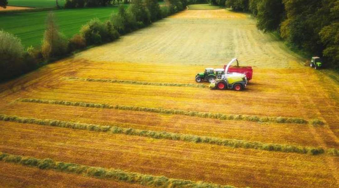 Terményárak, gazdaságátadás, bioellenőrzés, dióburok-fúrólégy – a legfontosabb szakmai hírek egy helyen