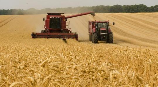 Tudtad? Magyarország a világranglistán a 7. pótkocsiexportőr