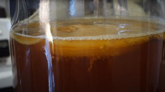 Újra hódít a kombucha őrület! Te is elkészítheted a különleges gyógyteát