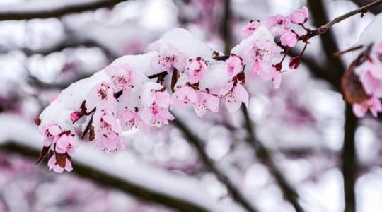 Időjárás: záporokkal, hózáporokkal zárul a hét