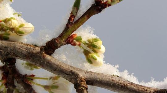 Ilyen 1944 óta még nem volt: megdőlt a fővárosi hidegrekord 