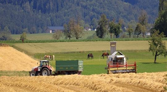 Jó befektetés az arany, de a mezőgazdasági gép még jobb