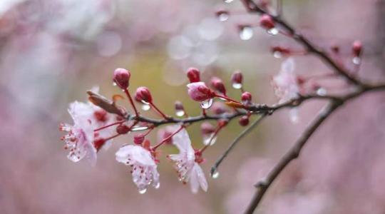 Kiadós eső! Térképen mutatjuk, hogy hol és mennyi várható!