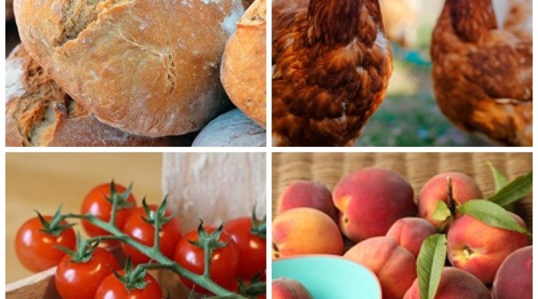 Búzaárrobbanás, paradicsombetegségek, kenyéráremelés, termésátlagrekordok