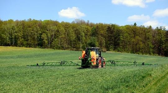 Egységes kérelem: kötelező a nyilatkozattétel a növényvédelmi tevékenység felelőséről