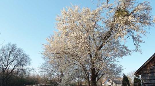 Időjárás: hajnaltól várható változás