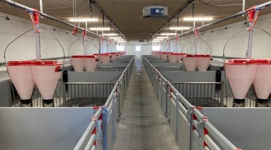 Beköszöntött a sertéstenyésztés új korszaka