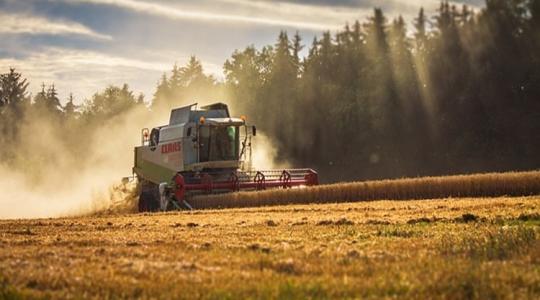 Bizakodó előrejelzések – mi a helyzet a gabonapiacon? 