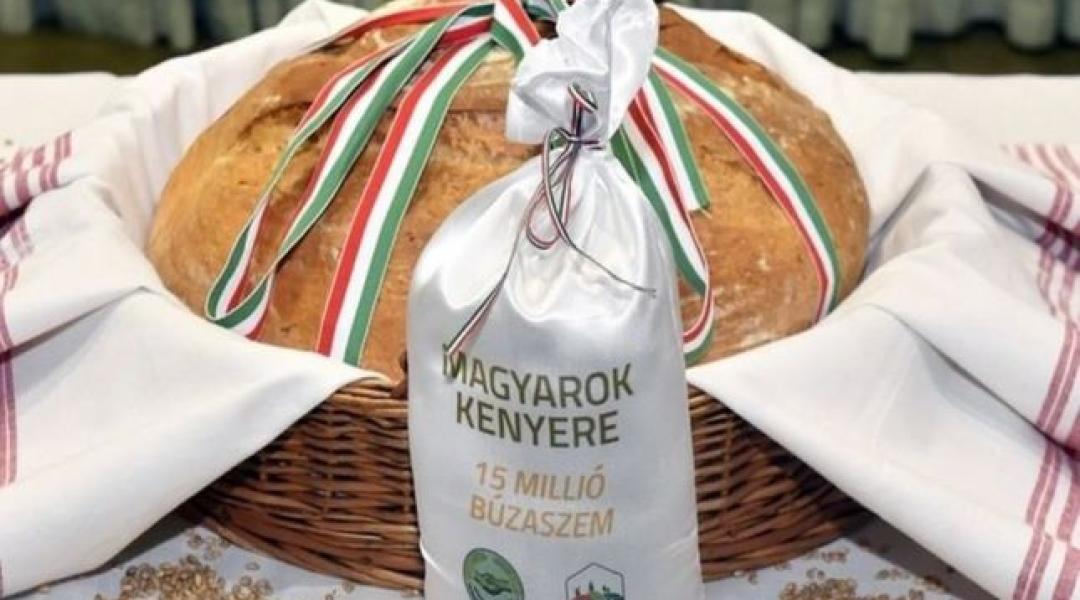 Magyarok Kenyere 2021: Százszorosára nőtt a búzaadomány