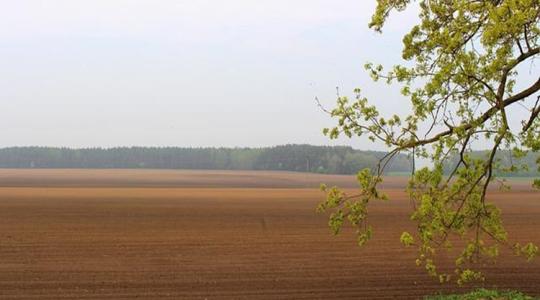 Golyóálló mellényben, acélsisakban vetnek a termelők Ukrajnában