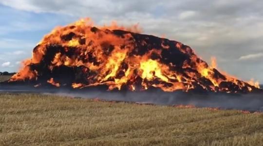 Lángoló bálahegy Székesfehérváron! – Videó