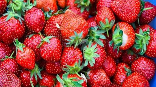Mi a helyzet szamócafronton? Mutatjuk az árakat