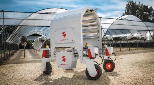 Fényterápiával a penészgombák ellen – merőben új technológia a Saga Roboticstól! (Videók!)