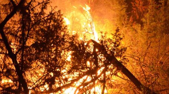 Tíz éve lángolt az ősborókás, egy hétig oltották a tüzet – Képek!