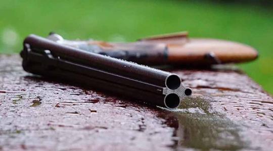 Totális sokk, rengeteg kérdőjel – Ki és miért lőtt ki vaddisznókat gyerekek szeme láttára?